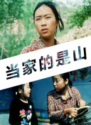 深入分析战斗传说的游戏机制与玩法